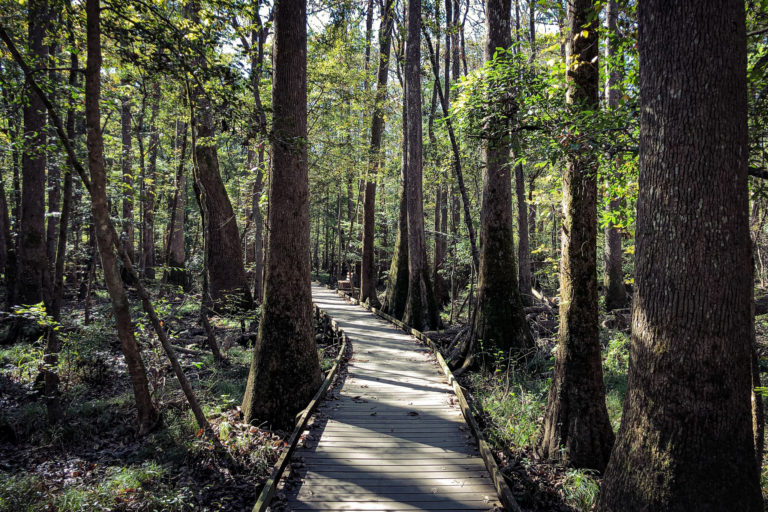 Congaree National Park